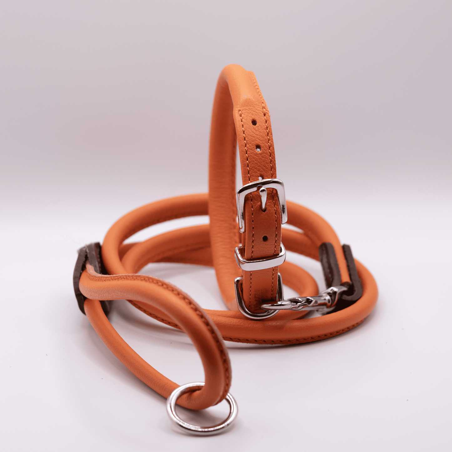Rolled Soft Leather Dog Collar Orange