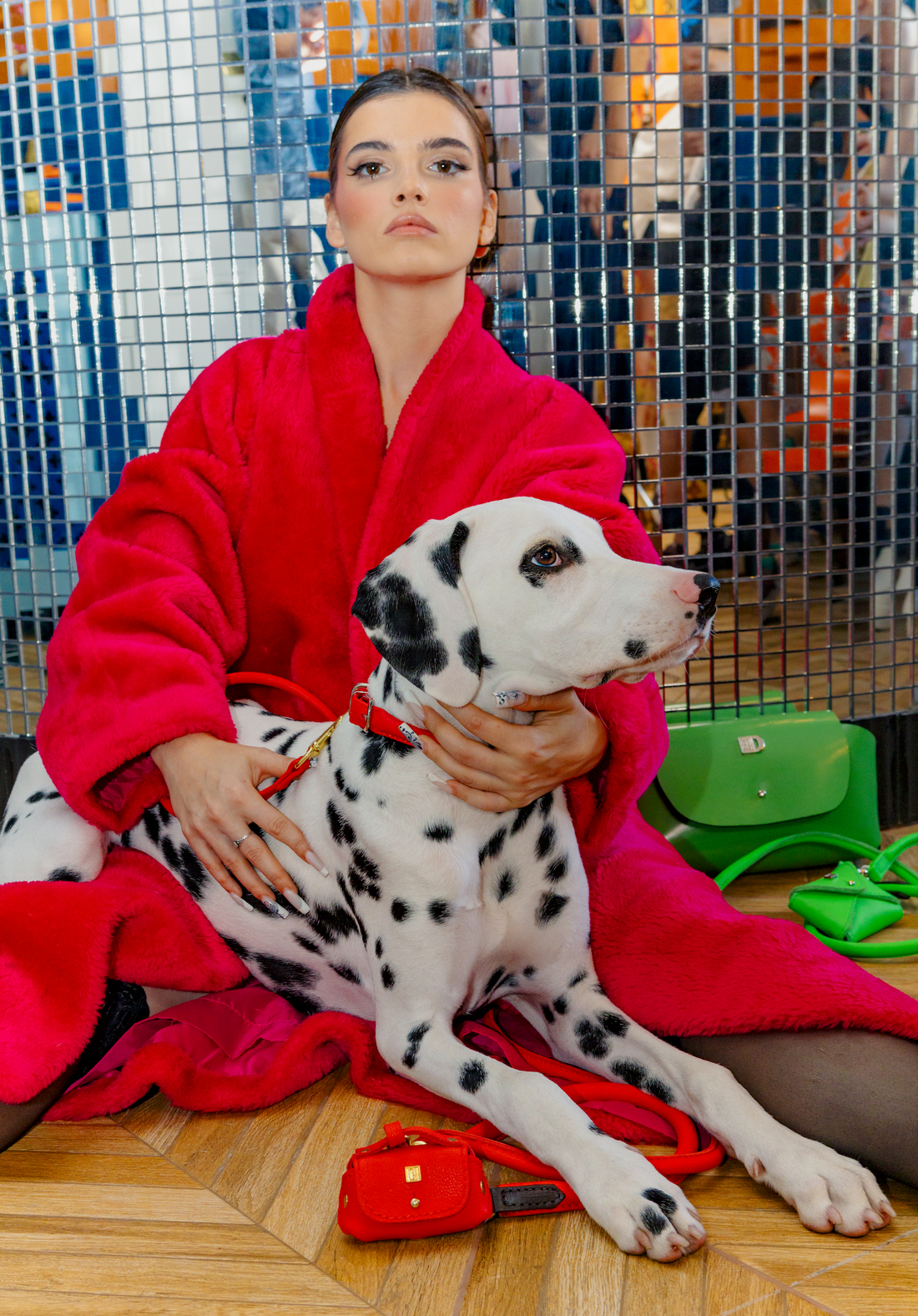 Twenty Years of Dogs & Horses — and a New Chapter in Europe