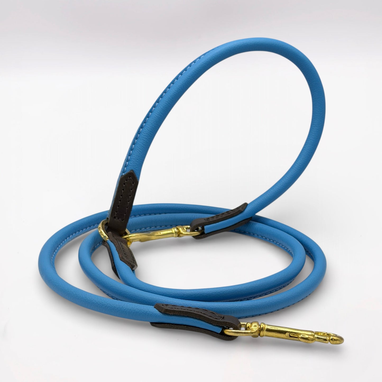Rolled Soft Leather Long Lead - 165cm | Blue