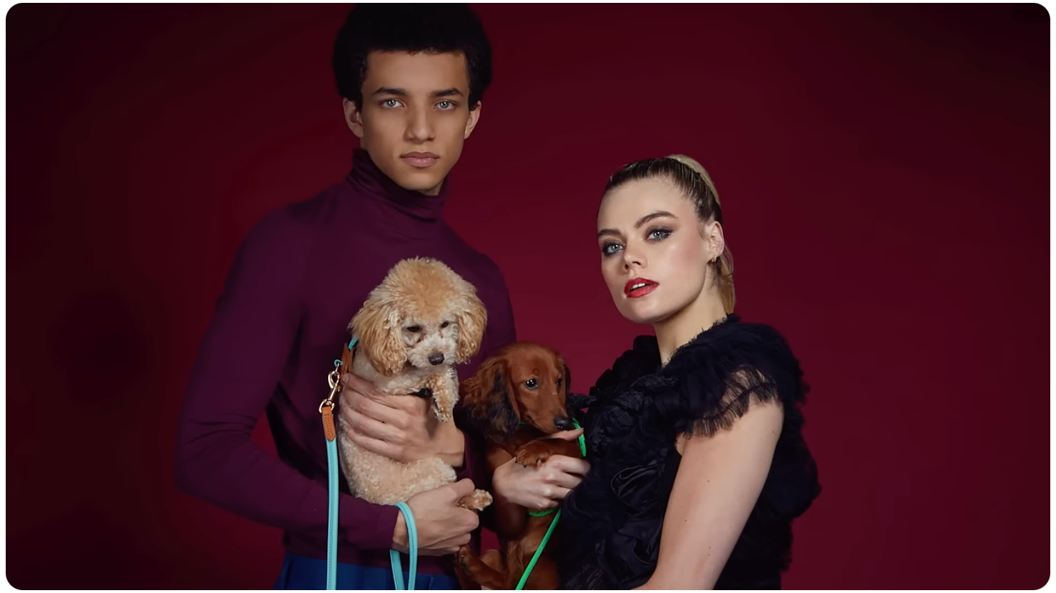 Load video: short video showing the process of making leather dog collars at our workshop