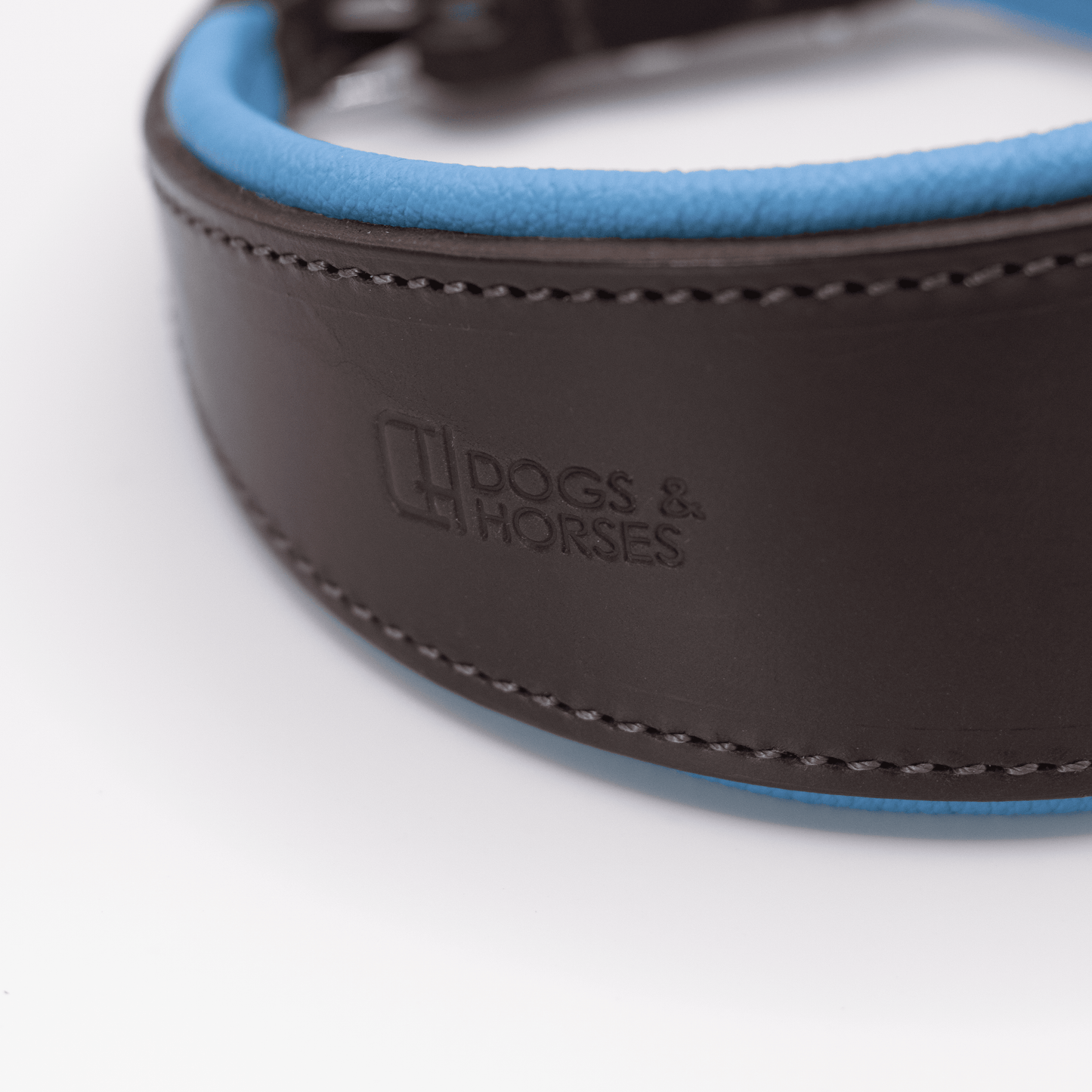 D&H Padded Leather Hound Collar Brown and Blue