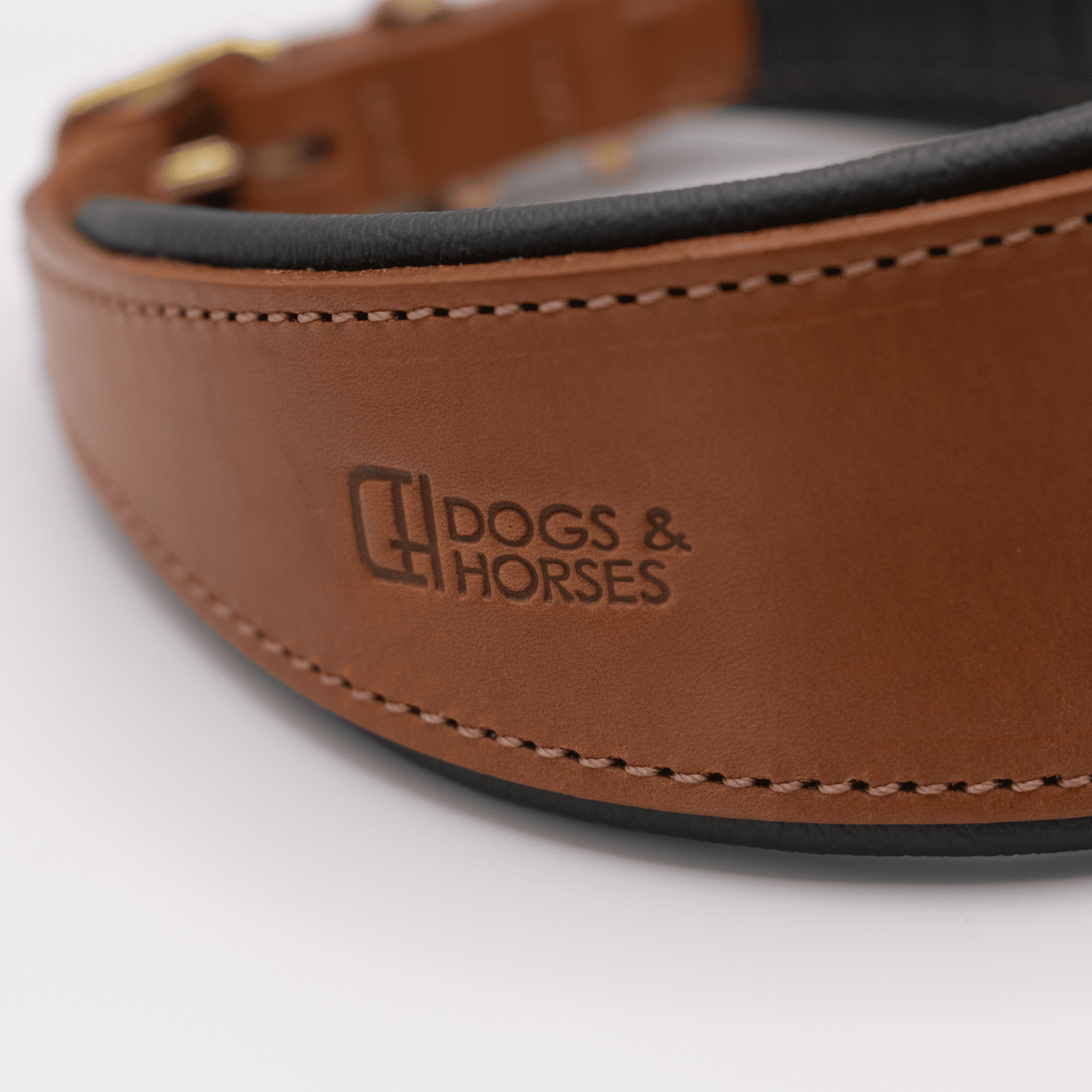 D&H Padded Leather Hound Collar Tan and Racing Green