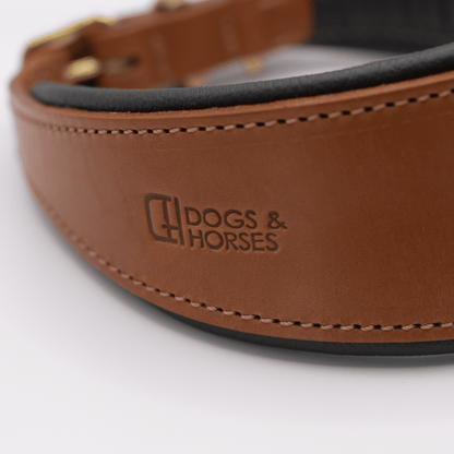 D&H Padded Leather Hound Collar Tan and Racing Green