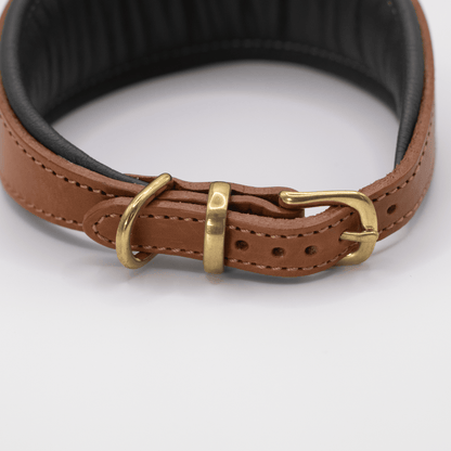 D&H Padded Leather Hound Collar Tan and Racing Green