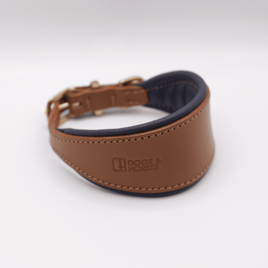 D&H Padded Leather Hound Collar Tan and Navy