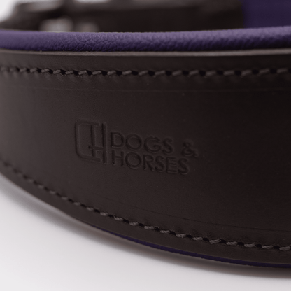 D&H Padded Leather Hound Collar Brown and Purple