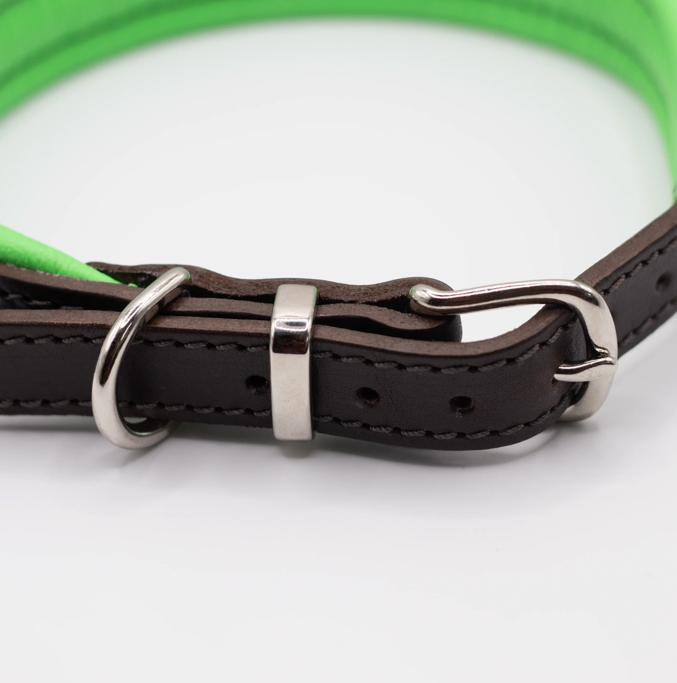 Padded Leather Dog Collar Brown and Green