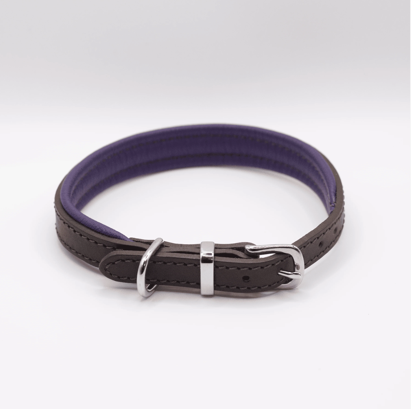 Padded Leather Dog Collar Brown and Purple