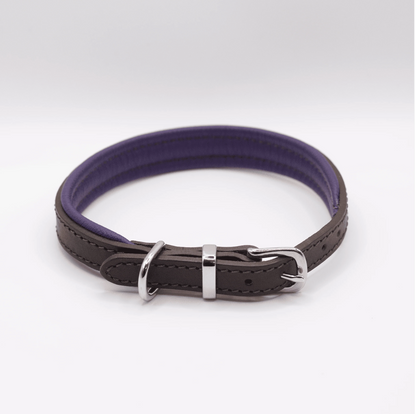 Padded Leather Dog Collar Brown and Purple