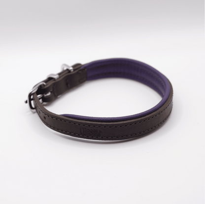 Padded Leather Dog Collar Brown and Purple