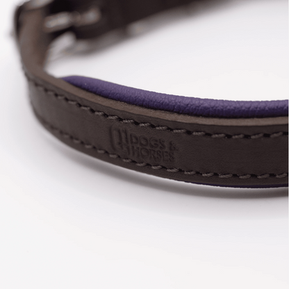 Padded Leather Dog Collar Brown and Purple