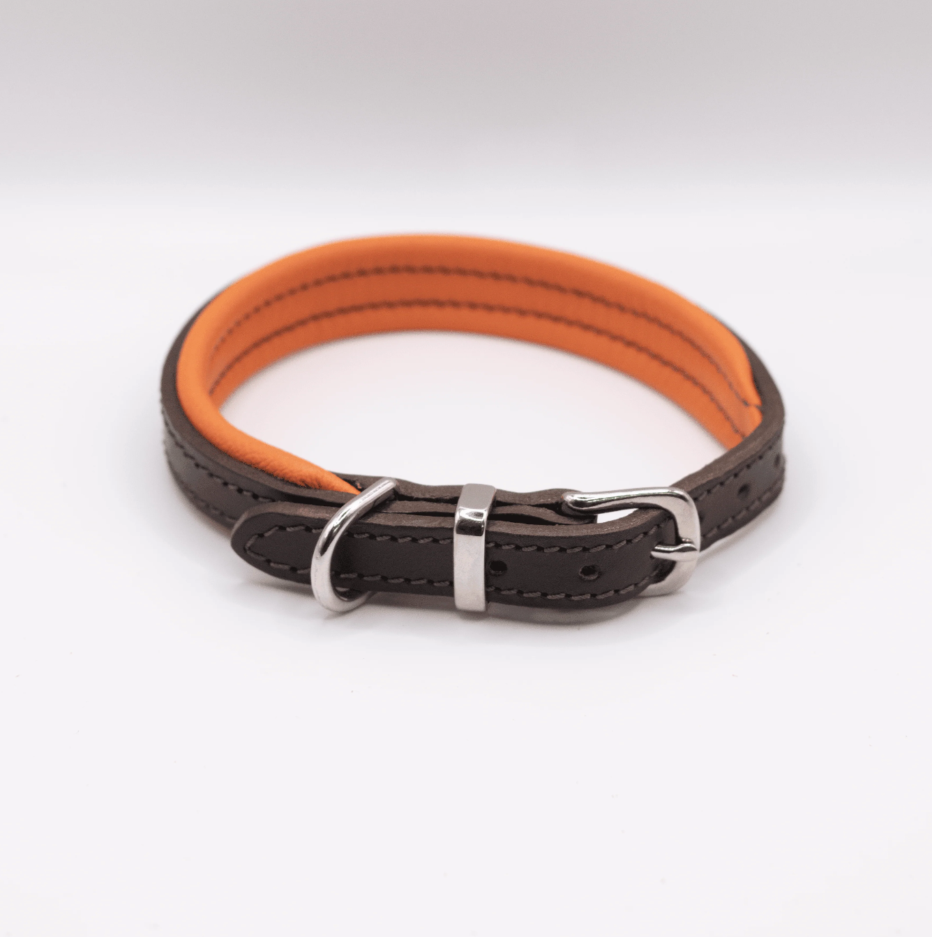 Padded Leather Dog Collar Orange