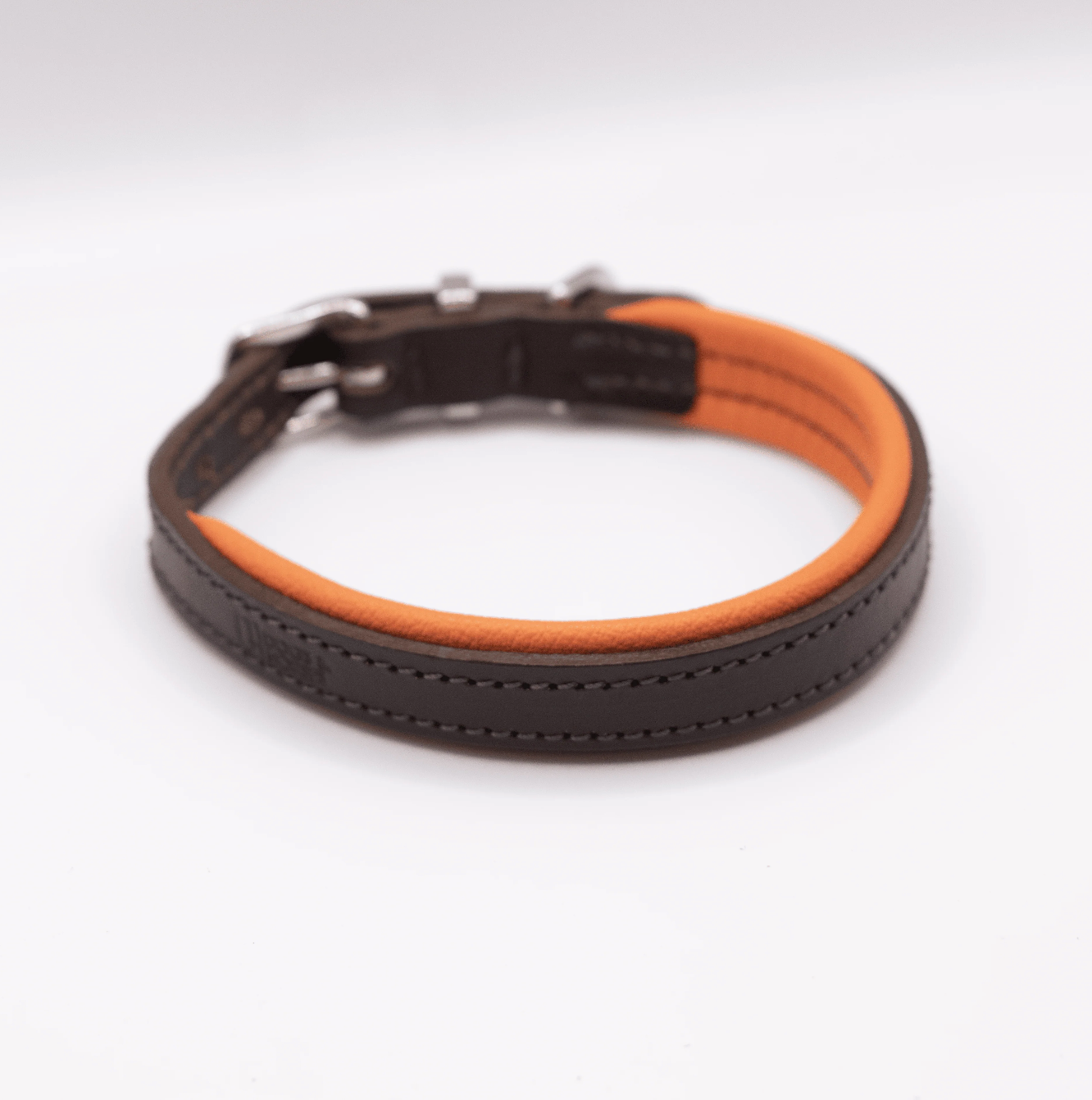 Padded Leather Dog Collar Orange