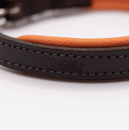 Padded Leather Dog Collar Orange