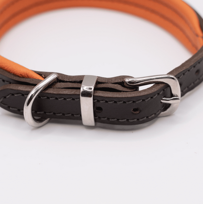 Padded Leather Dog Collar Orange