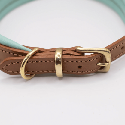 Padded Leather Dog Collar Aqua