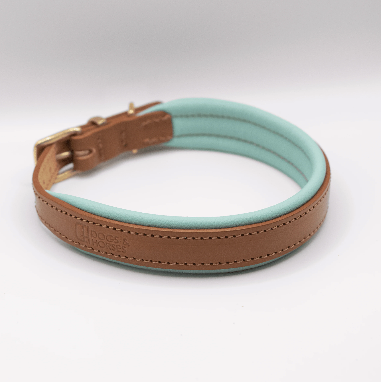 Padded Leather Dog Collar Aqua