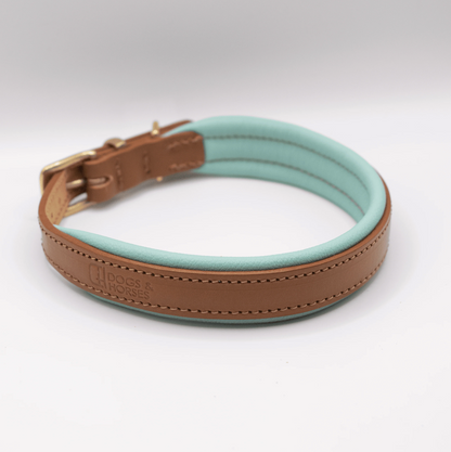 Padded Leather Dog Collar Aqua