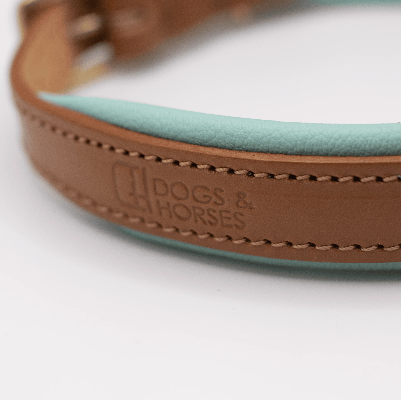 Padded Leather Dog Collar Aqua