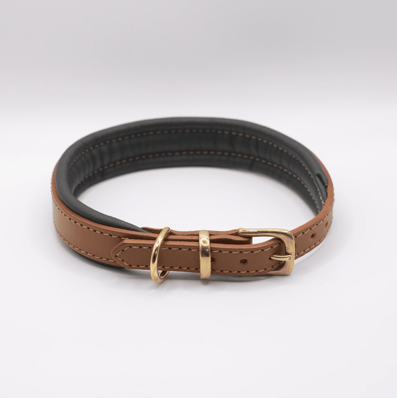 Padded Leather Dog Collar Tan and Racing Green