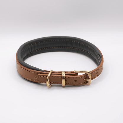 Padded Leather Dog Collar Tan and Racing Green