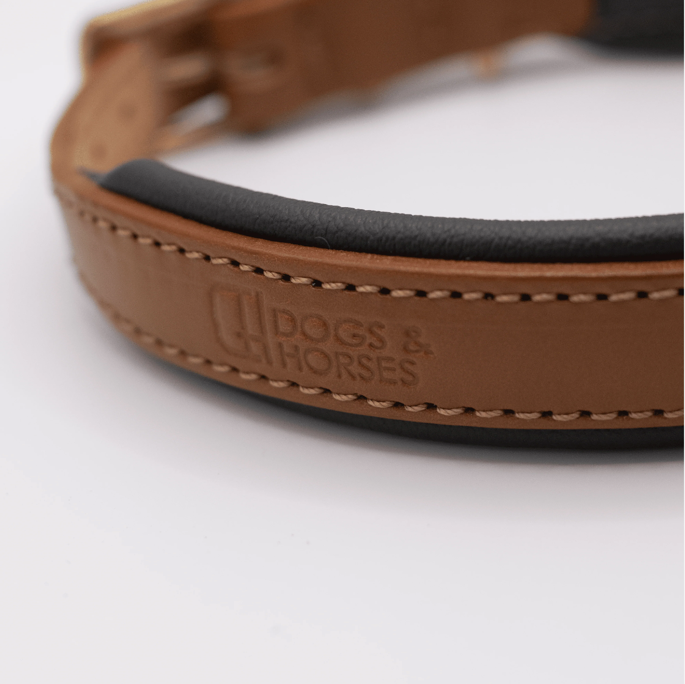 Padded Leather Dog Collar Tan and Racing Green