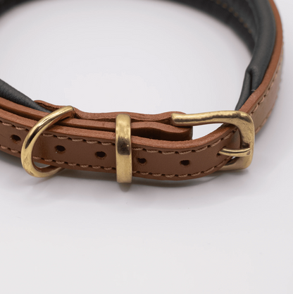 Padded Leather Dog Collar Tan and Racing Green