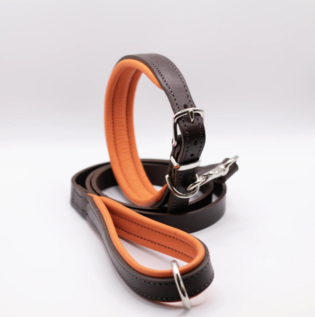 Padded Leather Dog Collar Orange