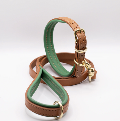 Padded Leather Dog Collar Tan and Clover