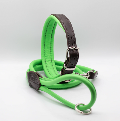 Padded Leather Dog Collar Brown and Green