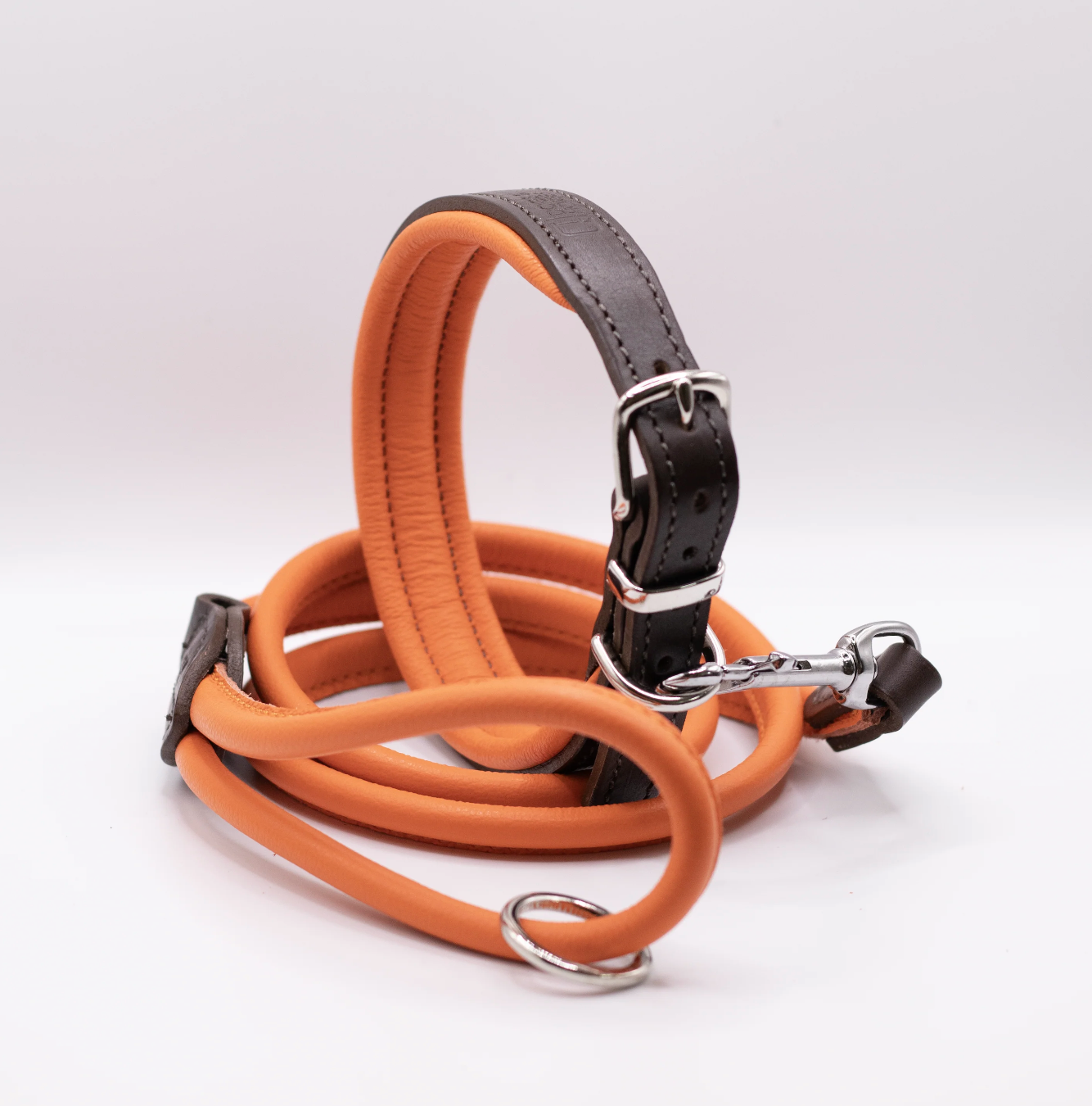Padded Leather Dog Collar Orange