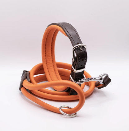 Padded Leather Dog Collar Orange