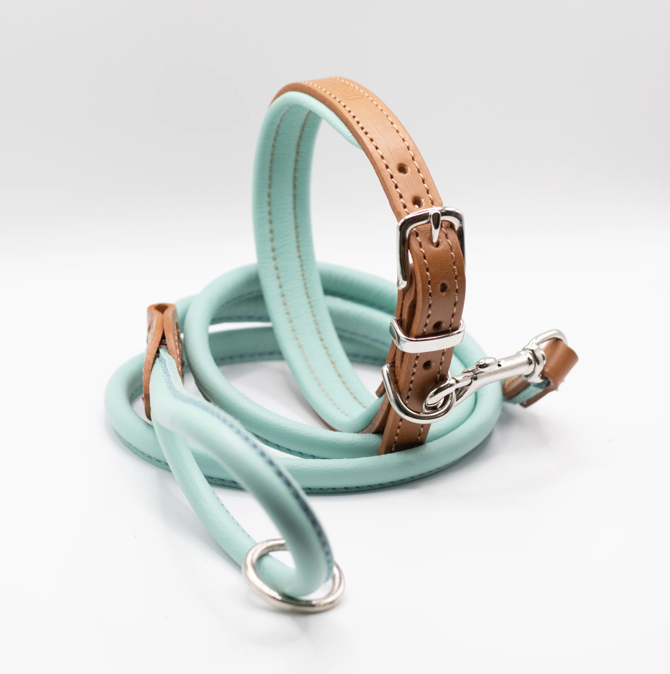 Padded Leather Dog Collar Aqua
