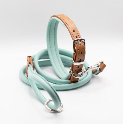 Padded Leather Dog Collar Aqua