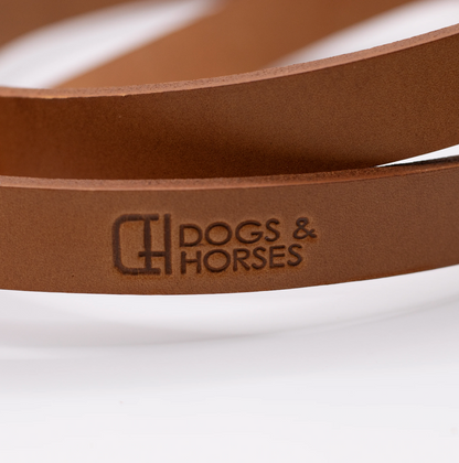 Padded Leather Dog Lead Tan and Aqua